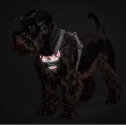 Harnais Divo Reflect rouge anti-traction Hunter