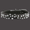 Collier pour chien Convenience Hunter
