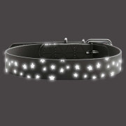 Collier Convenience pour Chien