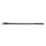 Collier pour chien Convenience Hunter