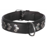 Collier Active Doublée pour Chien