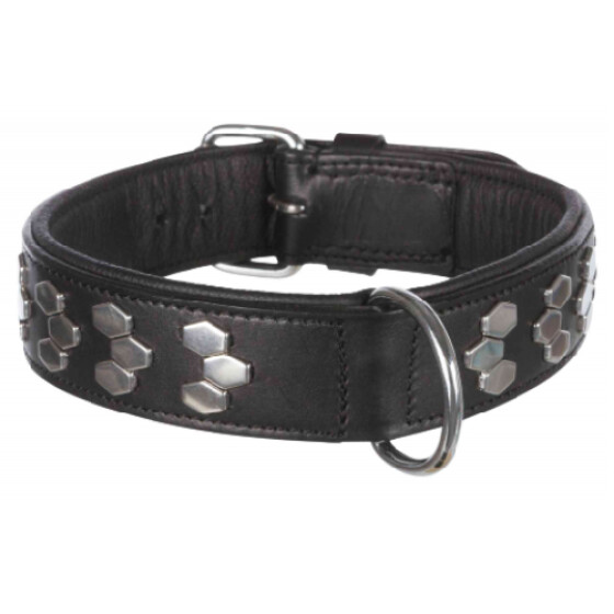 Collier Active Doublée pour Chien
