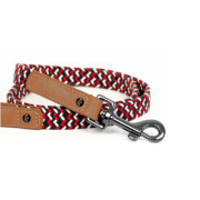 Collier bouledogue Français en corde tressé Imoca pour Chien