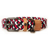 Milk & Pepper Imoca pour chien
