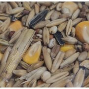 Mélange complet pour poules pondeuses