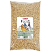 Mélange pour Poules et Poulets