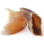 Sabot de Veau pour Chien