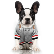 Milk & Pepper Sweat gris Bouledogue et Carlin Arminton