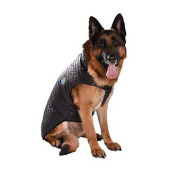 Manteau grands chiens