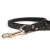 Collier luxe pour chien Stardust champagne