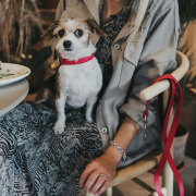 Collier pour chien Convenience framboise