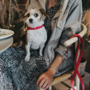 Collier pour chien Convenience framboise Hunter