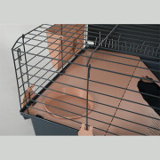 Cage Indoor2 120 cm rose