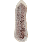 Bois cerf chiot à mastiquer à partir de 3 mois