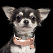 Collier chien luxe imitation cuir lézard rose Safira