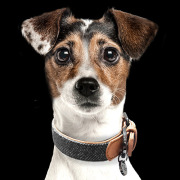 Milk & Pepper Collier en tweed et imitation cuir Archibald