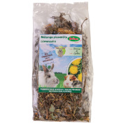 Mélange pissenlits pour rongeur 80 g Bubimex