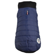 Doudoune bleue spéciale Bouledogue Carlin Staffie