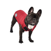 Doudoune rouge spéciale Bouledogue Carlin Staffie