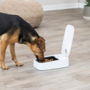 Distributeur automatique nourriture chien et chat TX1