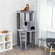 Arbre à chat XXL, gros chat, Maine Coon Sergio