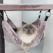 Arbre à chat XXL avec hamac pour gros chat Maine Coon