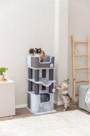 Arbre à chat XXL solide pour grand chat