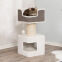 Arbre à chat XXL pour gros chat Maine Coon Ava