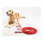 Longe pour chien Walk Rouge 