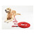 Longe pour chien Walk Rouge 
