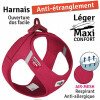 Curli Harnais pour bouledogue rouge