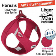 Harnais Bouledogue Français : le seul harnais bouledogue, ROUGE