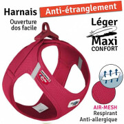 Harnais Bouledogue Français : le seul harnais bouledogue, ROUGE
