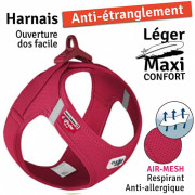 Curli Harnais pour bouledogue rouge