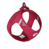 Curli Harnais pour bouledogue rouge