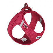 Curli Harnais pour bouledogue rouge