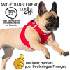Curli Harnais pour bouledogue rouge