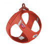 Curli harnais Boucle Air-Mesh orange