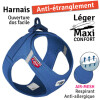 Curli harnais à boucle Air-Mesh bleu