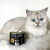 Cat's Love Pâtée Senior Canard pour Chat