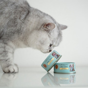 Cat's Love Pâtée Pure Filet Poulet 100 g