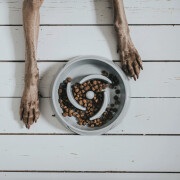 Gamelle Anti-glouton chien Atlanta