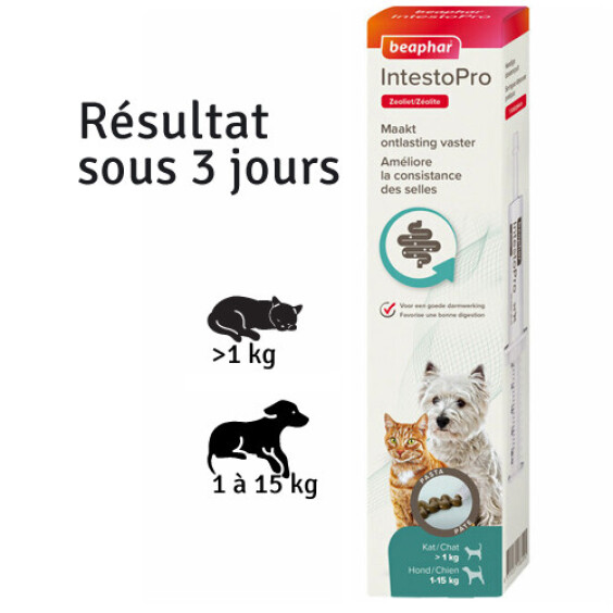 Complément alimentaire IntestoPro Chat et Chien Beaphar