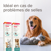 Complément alimentaire IntestoPro Chat et Chien Beaphar