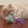 KONG Peluche Cat Occasions Birthday Teddy
