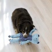 KONG Jouet Floppy Knots Hippo