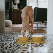 Gamelle Design, céramique Moutarde Eiby pour Chien