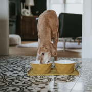 Gamelle en céramique Moutarde Eiby pour chien Hunter