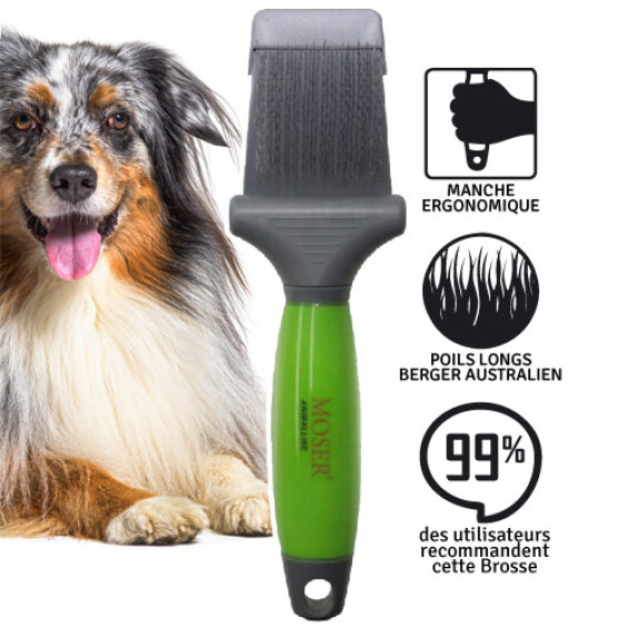 MOSER Brosse pour Berger Australien Double-Carde Pro 22 cm
