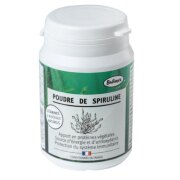 Poudre Spiruline pour Chien